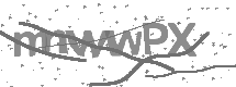 visual captcha